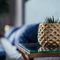 Интерьерная фотсотудия Минск Интерьерная фотсотудия Минск